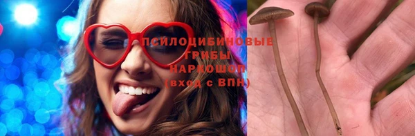 винт Рославль