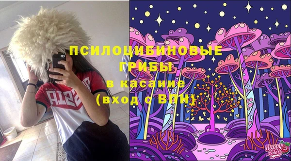 дурь Абинск