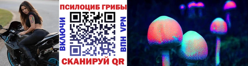 Псилоцибиновые грибы ЛСД  Куртамыш 